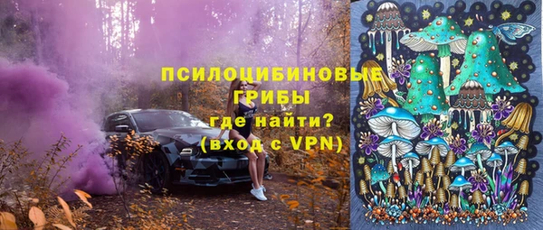 индика Абдулино