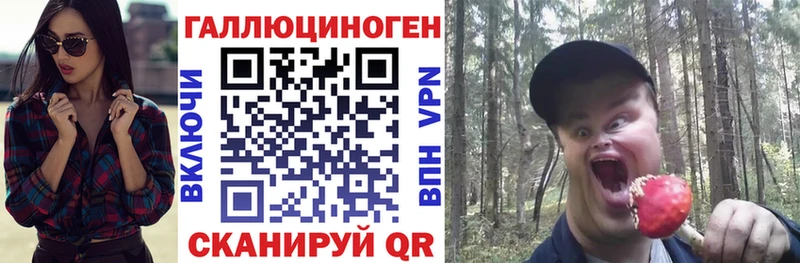 Псилоцибиновые грибы Cubensis  shop официальный сайт  Ужур 